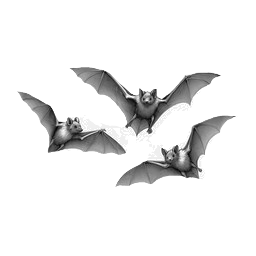 Bats illustration