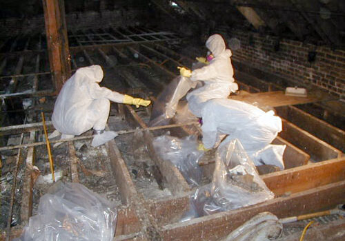 Pest Animal Attic Cleaning